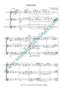 PXH006 Calon Lân - Hughes, J./James, D. (PDF DOWNLOAD)