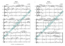 C003 Two Waltzes - Chopin, F.