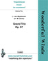 CLB002 Grand Trio Op. 87 - Beethoven, L. van (PDF DOWNLOAD)