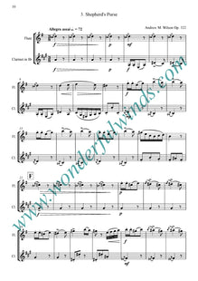 DW005a - Wild Garden Op. 322 - Wilson, A. M.