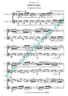 DW005c - Wild Garden Op. 322 - Wilson, A. M.