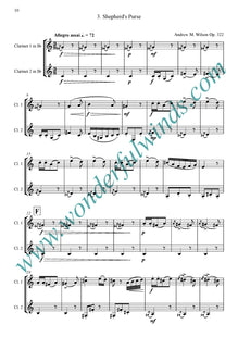 DW005c - Wild Garden Op. 322 - Wilson, A. M.