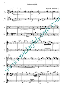 DW005d - Wild Garden Op. 322 - Wilson, A. M. (PDF DOWNLOAD)