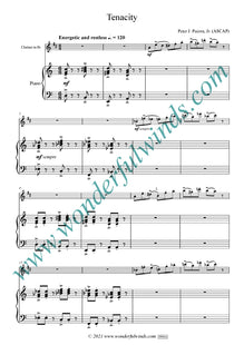 PP004 Tenacity - Pecora, P.J. Jr. (PDF DOWNLOAD)