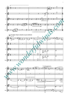 PXV001 Bagatella Concertante - Ventimiglia, R. (PDF DOWNLOAD)