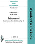 S008 Träumerei - Schumann, R. (PDF DOWNLOAD)