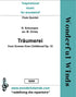 S008 Träumerei - Schumann, R.