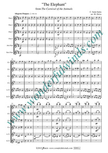 SS001a The Elephant - Saint-Saens, C.