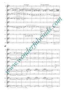 W007b Siegfried Idyll - Wagner, R.